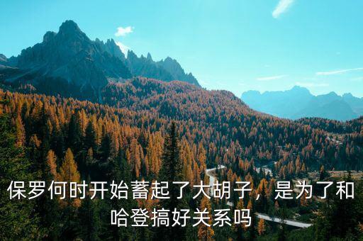 保羅何時(shí)開始蓄起了大胡子，是為了和哈登搞好關(guān)系嗎