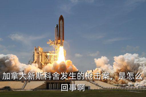 加拿大新斯科舍發(fā)生的槍擊案，是怎么回事啊