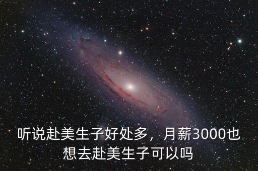 聽說赴美生子好處多，月薪3000也想去赴美生子可以嗎