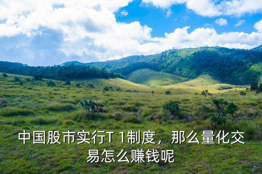 中國股市實行T 1制度，那么量化交易怎么賺錢呢
