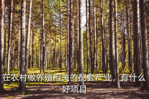 在農村做養(yǎng)殖相關的配套產業(yè)，有什么好項目