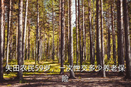 失田農(nóng)民59歲，一次性交多少養(yǎng)老保險(xiǎn)