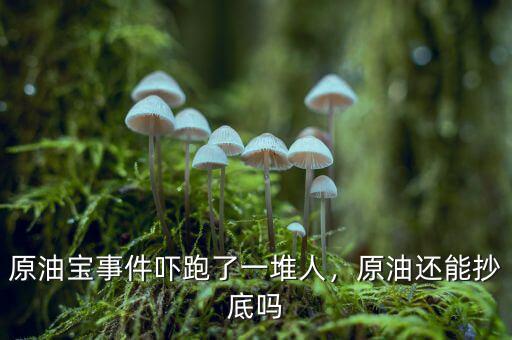 原油寶事件嚇跑了一堆人，原油還能抄底嗎