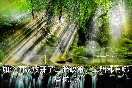如今國家放開了二胎政策，二胎都有哪些優(yōu)點
