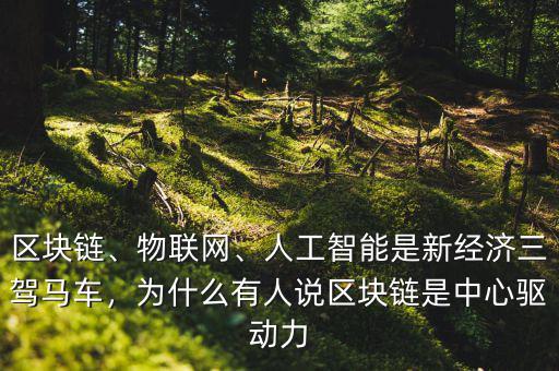 區(qū)塊鏈、物聯(lián)網(wǎng)、人工智能是新經(jīng)濟(jì)三駕馬車，為什么有人說區(qū)塊鏈?zhǔn)侵行尿?qū)動力