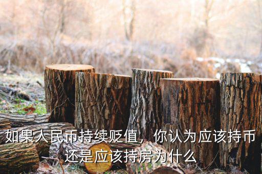 如果人民幣持續(xù)貶值，你認(rèn)為應(yīng)該持幣還是應(yīng)該持房為什么