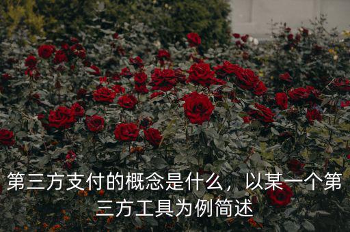 第三方支付的概念是什么，以某一個第三方工具為例簡述