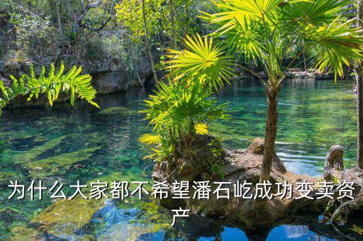 為什么大家都不希望潘石屹成功變賣(mài)資產(chǎn)