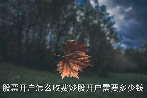 a股開(kāi)戶(hù)多少錢(qián),炒股開(kāi)戶(hù)需要多少錢(qián)
