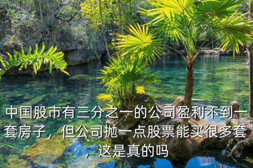 中國股市有三分之一的公司盈利不到一套房子，但公司拋一點股票能買很多套，這是真的嗎