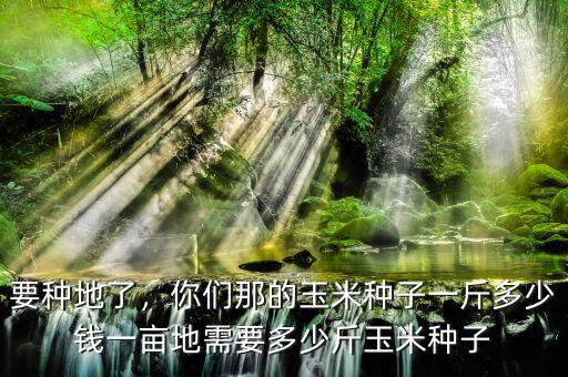 要種地了，你們那的玉米種子一斤多少錢一畝地需要多少斤玉米種子