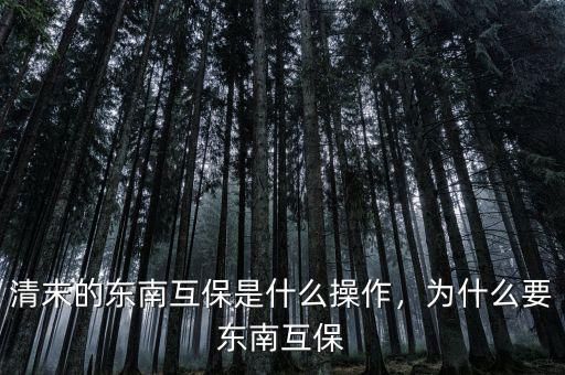 清末的東南互保是什么操作，為什么要東南互保
