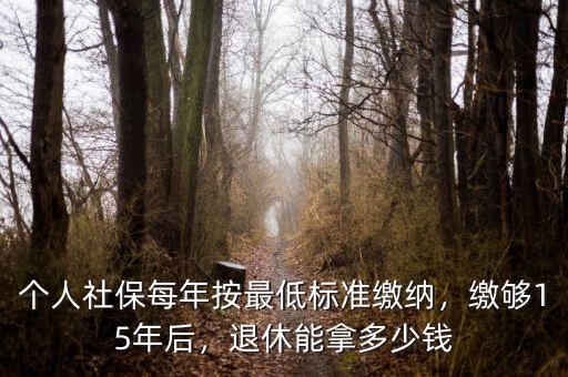 個人社保每年按最低標(biāo)準(zhǔn)繳納，繳夠15年后，退休能拿多少錢