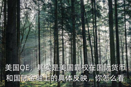 美國(guó)QE，其實(shí)是美國(guó)霸權(quán)在國(guó)際貨幣和國(guó)際金融上的具體反映，你怎么看