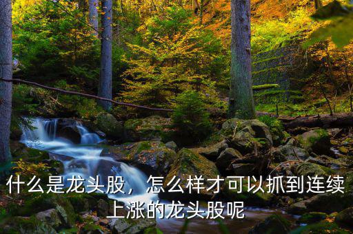 什么是龍頭股，怎么樣才可以抓到連續(xù)上漲的龍頭股呢