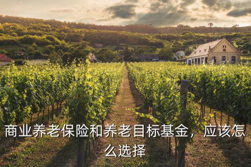 商業(yè)養(yǎng)老保險(xiǎn)和養(yǎng)老目標(biāo)基金，應(yīng)該怎么選擇