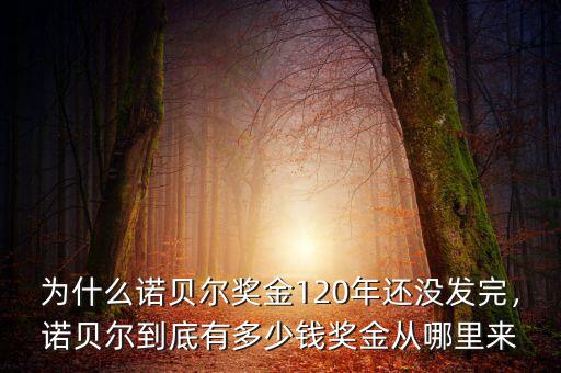為什么諾貝爾獎金120年還沒發(fā)完，諾貝爾到底有多少錢獎金從哪里來