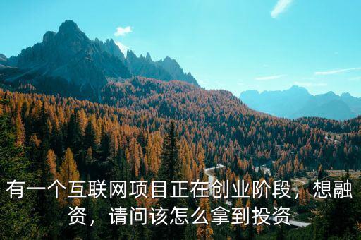 有一個互聯(lián)網(wǎng)項目正在創(chuàng)業(yè)階段，想融資，請問該怎么拿到投資