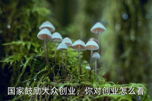 國家鼓勵大眾創(chuàng)業(yè)，你對創(chuàng)業(yè)怎么看