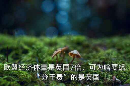 歐盟經(jīng)濟(jì)體量是英國7倍，可為啥要給“分手費(fèi)”的是英國