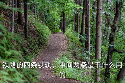 鐵路的四條鐵軌，中間兩條是干什么用的