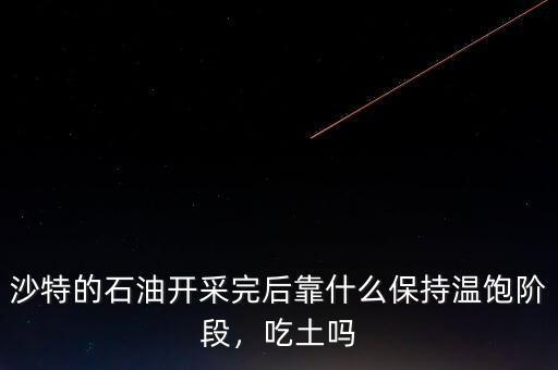 沙特的石油開(kāi)采完后靠什么保持溫飽階段，吃土嗎