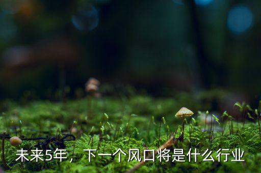 未來5年，下一個風(fēng)口將是什么行業(yè)