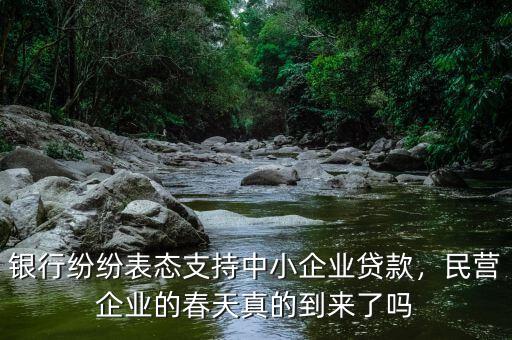 銀行紛紛表態(tài)支持中小企業(yè)貸款，民營企業(yè)的春天真的到來了嗎