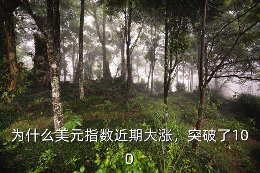 為什么美元指數(shù)近期大漲，突破了100
