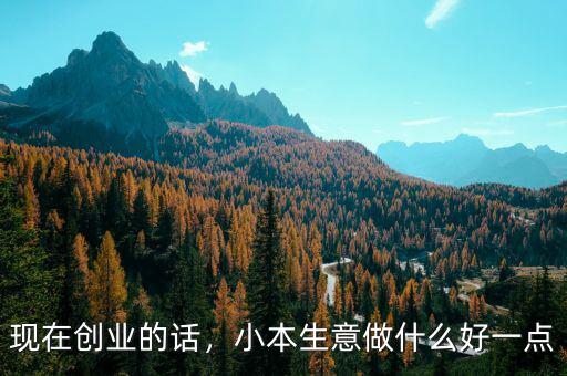 現(xiàn)在創(chuàng)業(yè)的話，小本生意做什么好一點