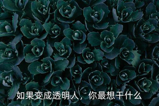 如果變成透明人，你最想干什么