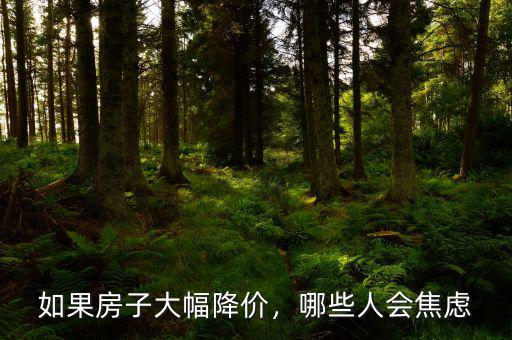 如果房子大幅降價(jià)，哪些人會焦慮