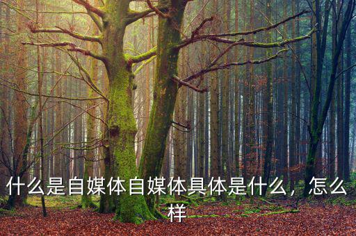 什么是自媒體自媒體具體是什么，怎么樣