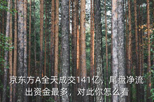 京東方A全天成交141億，尾盤凈流出資金最多，對此你怎么看