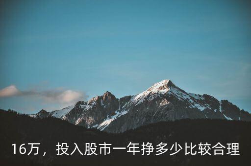 16萬，投入股市一年掙多少比較合理