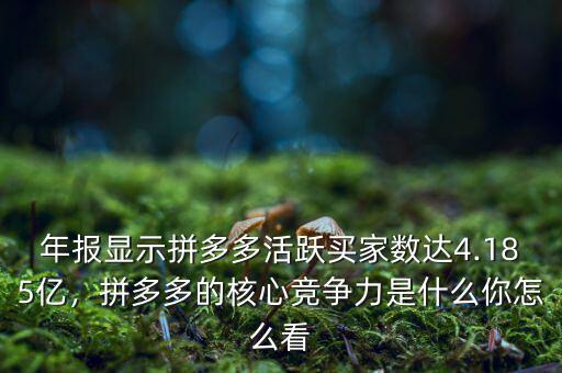 年報(bào)顯示拼多多活躍買家數(shù)達(dá)4.185億，拼多多的核心競爭力是什么你怎么看