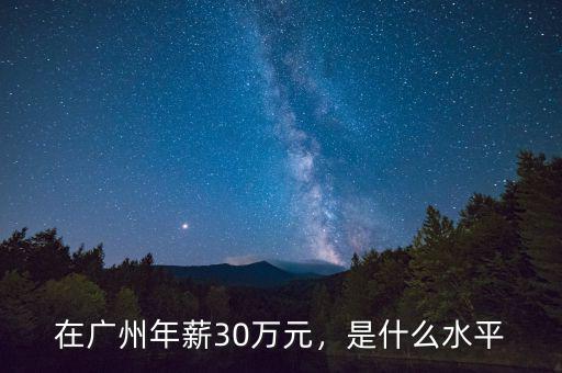 在廣州年薪30萬元，是什么水平
