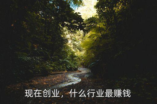 現(xiàn)在創(chuàng)業(yè)，什么行業(yè)最賺錢