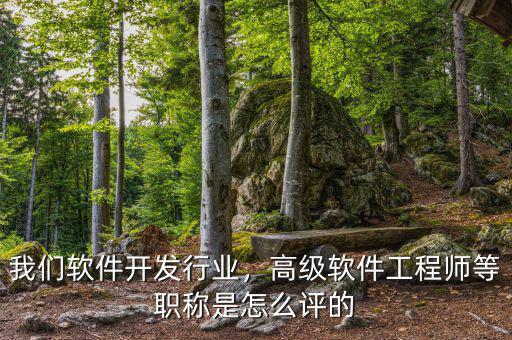 我們軟件開發(fā)行業(yè)，高級軟件工程師等職稱是怎么評的