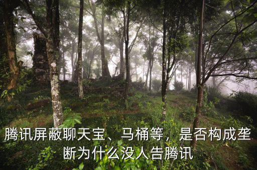 騰訊屏蔽聊天寶、馬桶等，是否構(gòu)成壟斷為什么沒人告騰訊