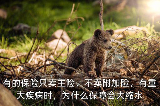 有的保險(xiǎn)只賣主險(xiǎn)，不賣附加險(xiǎn)，有重大疾病時(shí)，為什么保障會(huì)大縮水