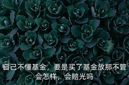 自己不懂基金，要是買了基金放那不管會怎樣，會賠光嗎