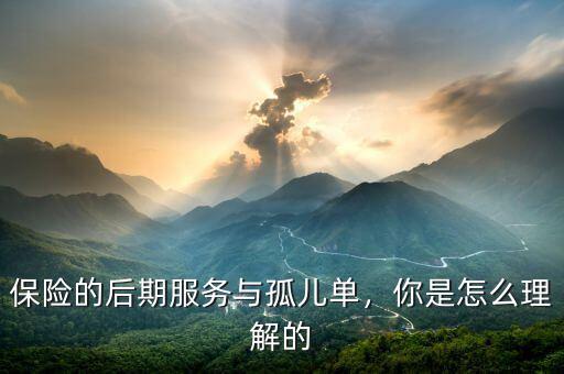 保險的后期服務與孤兒單，你是怎么理解的