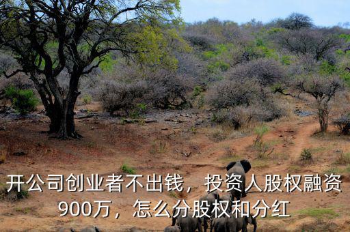 開公司創(chuàng)業(yè)者不出錢，投資人股權(quán)融資900萬，怎么分股權(quán)和分紅