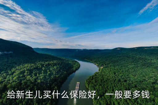 給新生兒買什么保險好，一般要多錢