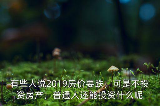 有些人說2019房價要跌，可是不投資房產(chǎn)，普通人還能投資什么呢
