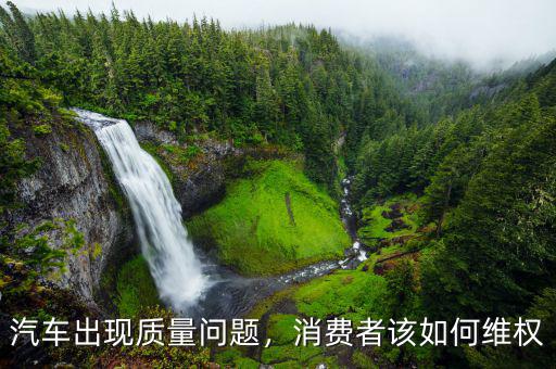 汽車出現(xiàn)質(zhì)量問(wèn)題，消費(fèi)者該如何維權(quán)