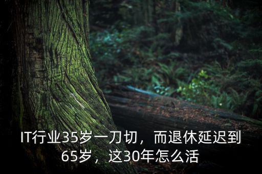 IT行業(yè)35歲一刀切，而退休延遲到65歲，這30年怎么活