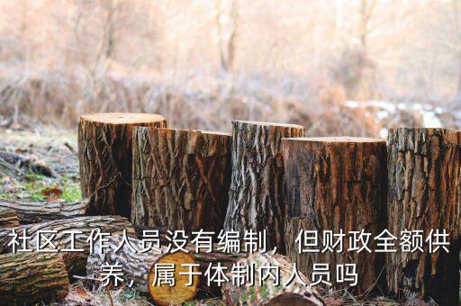 社區(qū)工作人員沒有編制，但財政全額供養(yǎng)，屬于體制內(nèi)人員嗎