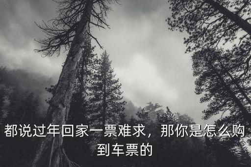 都說過年回家一票難求，那你是怎么購到車票的